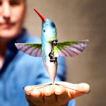 nano hummingbird AeroVironment